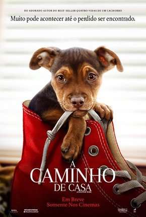 A Caminho de Casa - A Dogs Way Home Download Torrent