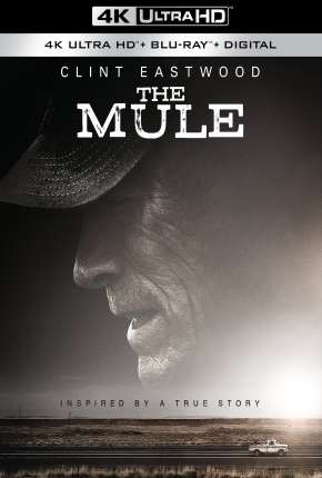 A Mula 4K Download Torrent