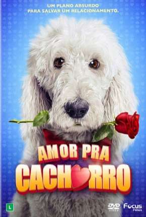 Amor Pra Cachorro Download Torrent