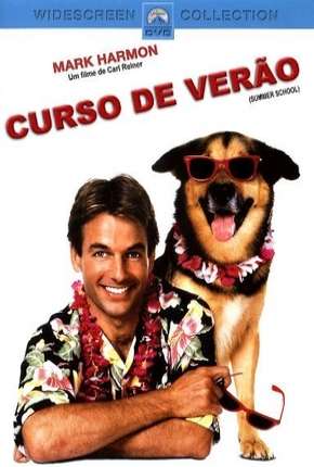 Curso de Verão Download Torrent