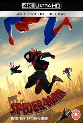 Homem-Aranha - No Aranhaverso 4K Legendado Download Torrent