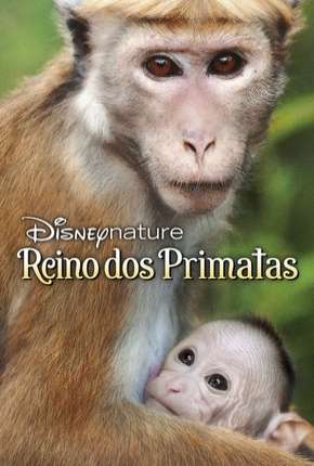 O Reino dos Primatas Download Torrent