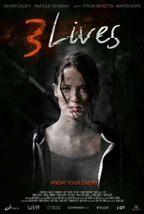 3 Vidas - Legendado Download Torrent