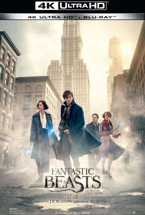 Animais Fantásticos e Onde Habitam - 4K Download Torrent
