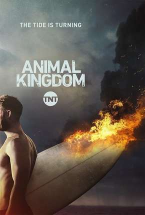 Animal Kingdom - 2ª Temporada Completa Download Torrent