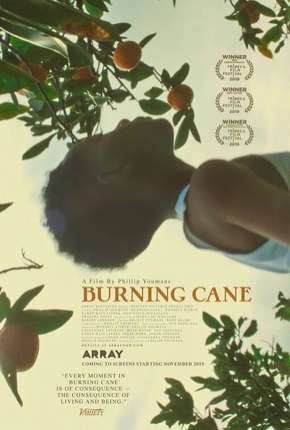 Burning Cane - Legendado Download Torrent