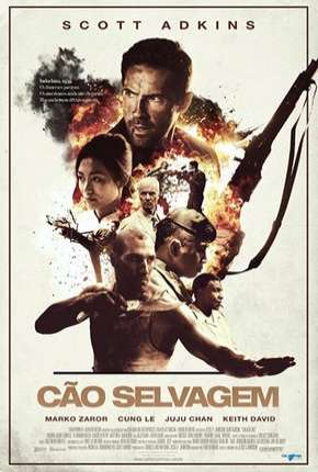 Cão Selvagem Download Torrent
