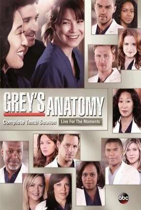 Greys Anatomy - 10ª Temporada - Completa Download Torrent
