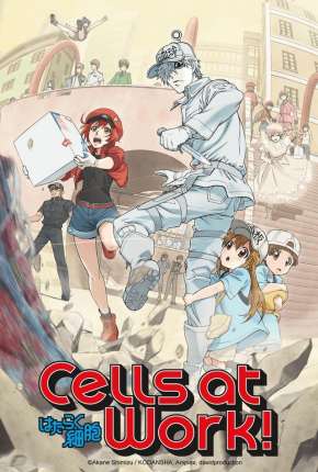 Hataraku Saibou - Cells at Work Download Torrent