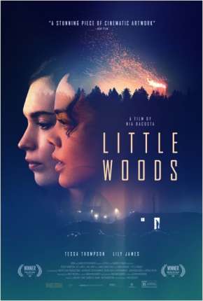 Little Woods - Legendado Download Torrent