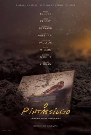 O Pintassilgo Download Torrent