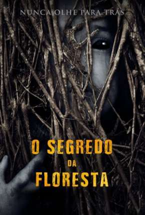 O Segredo da Floresta - Legendado Download Torrent