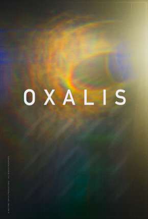 Oxalis - Legendado Download Torrent