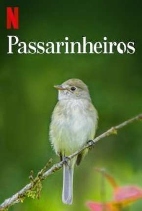 Passarinheiros - Birders Download Torrent