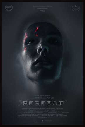 Perfect - Legendado Download Torrent
