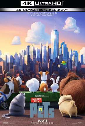 Pets - A Vida Secreta dos Bichos - 4K Download Torrent