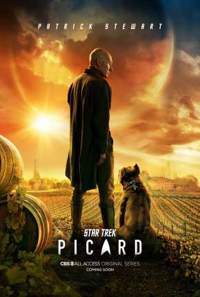 Star Trek - Picard - 1ª Temporada Download Torrent