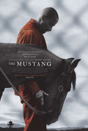 The Mustang - Legendado Download Torrent