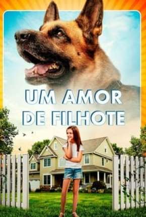 Um Amor de Filhote Download Torrent
