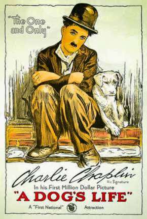 Vida de Cachorro - Legendado Download Torrent