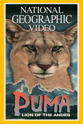 Puma - Leão dos Andes - Legendado Download Torrent