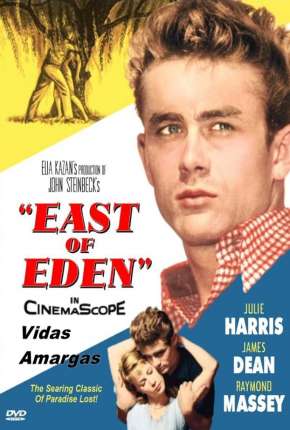 Vidas Amargas Download Torrent