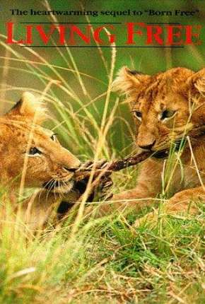 Vivendo Livremente Download Torrent