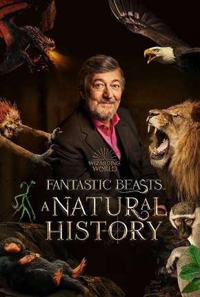 Animais Fantásticos - Uma História Natural Download Torrent