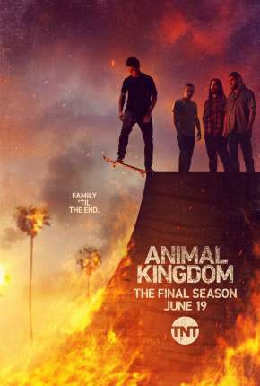 Animal Kingdom - 6ª Temporada Legendada Download Torrent