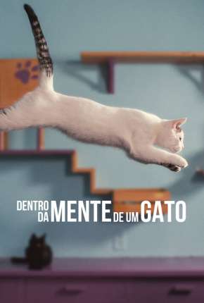 Dentro da Mente de um Gato - Legendado Download Torrent