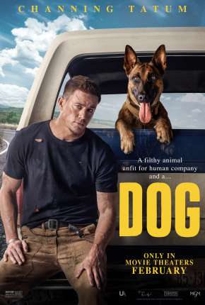 Dog - A Aventura de Uma Vida Download Torrent