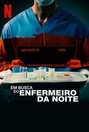 Em Busca do Enfermeiro da Noite Download Torrent