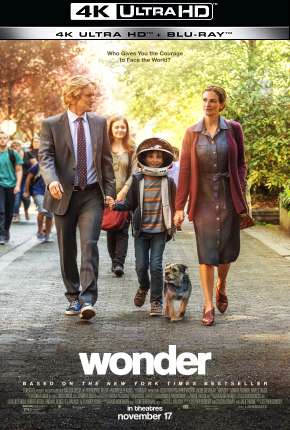 Extraordinário - 4K Download Torrent