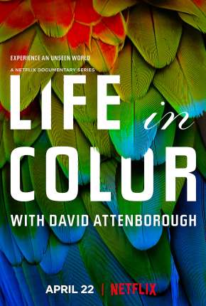 Life In Colour - 1ª Temporada Completa Download Torrent