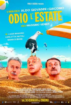 Loucuras de Verão - Odio lestate Download Torrent