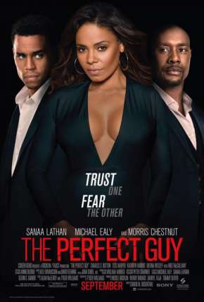 O Cara Perfeito - The Perfect Guy Download Torrent