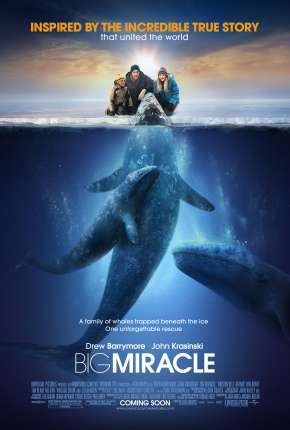 O Grande Milagre - Big Miracle Download Torrent