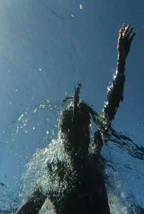 O Grande Nado Download Torrent