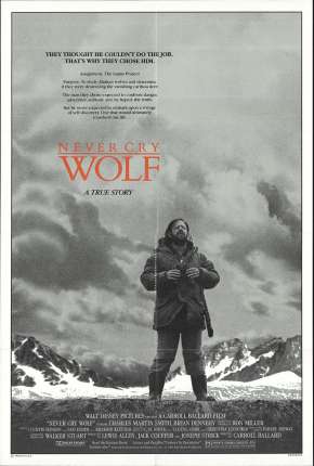 Os Lobos Nunca Choram - Legendado Download Torrent