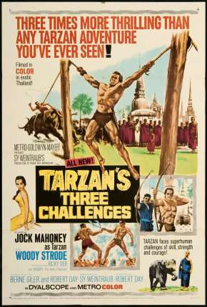 Os Três Desafios De Tarzan Download Torrent