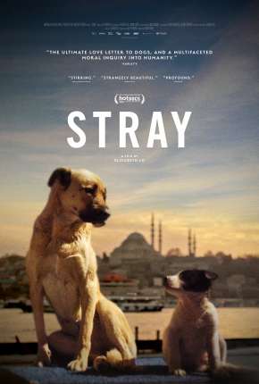 Stray - 2021 Legendado Download Torrent