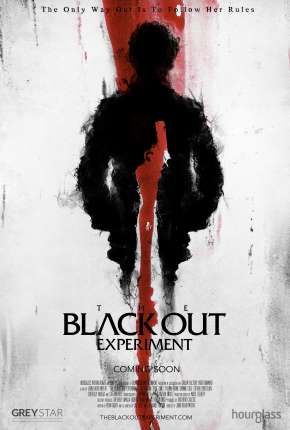 The Blackout Experiment - Legendado Download Torrent
