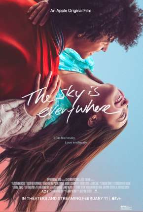 The Sky Is Everywhere - Legendado Download Torrent