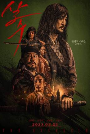 The Assassin - Legendado Download Torrent