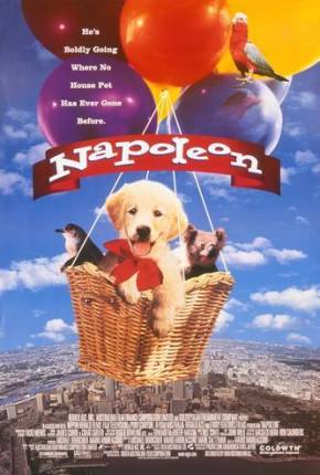 Napoleon, as Aventuras de um Cãozinho Valente Download Torrent