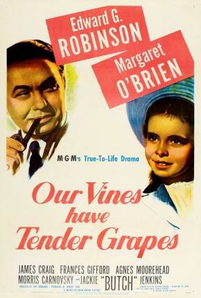 O Roseiral da Vida / Our Vines Have Tender Grapes Download Torrent