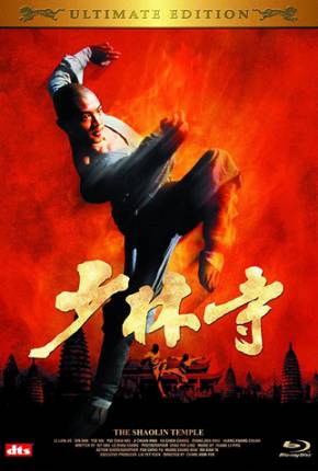 O Templo de Shaolin - Os Herdeiros de Shaolin / O Templo dos Campeões Download Torrent