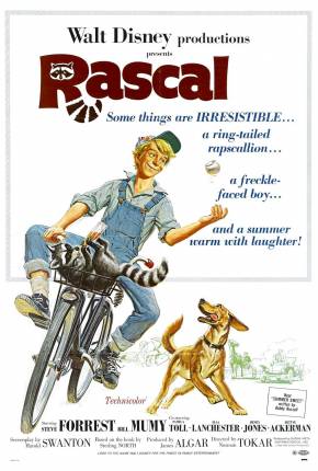 Rascal, o Amiguinho Travesso - Legendado Download Torrent