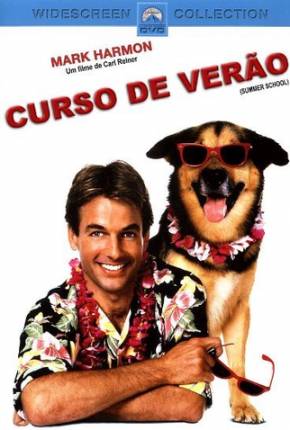 Curso de Verão / Summer School Download Torrent